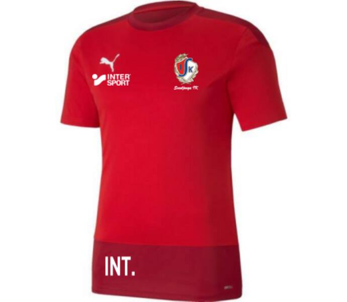 Puma teamGOAL 23 Training Jersey Röd