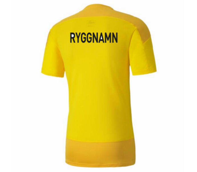 teamGOAL 23 Training Jersey