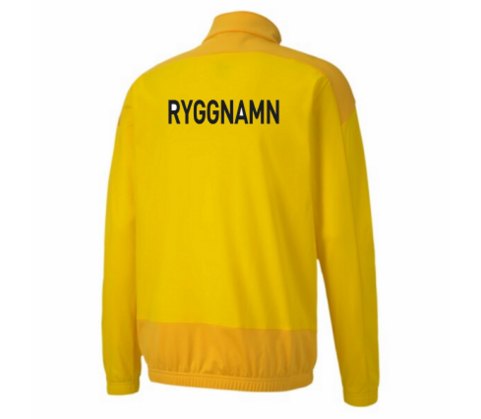 TeamGOAL 23 Training Jacket JR