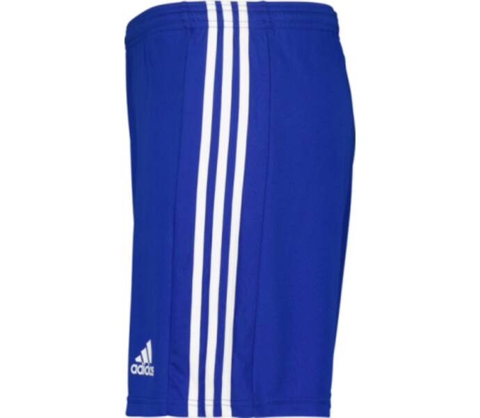 adidas Squadra 21 Shorts Blå