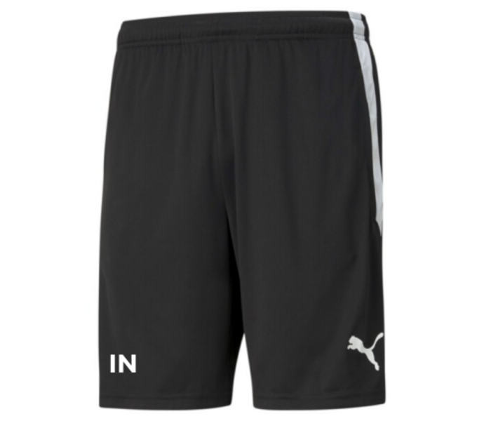 TeamLIGA träningsshorts