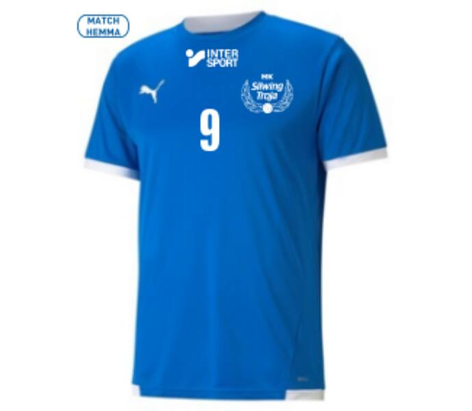 Puma teamLIGA Sr träningst-shirt Blå