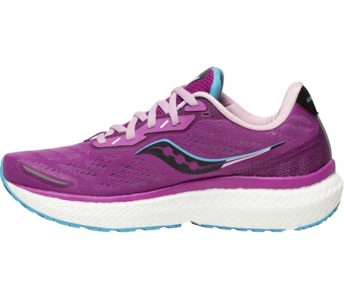 saucony triumph 19 dam