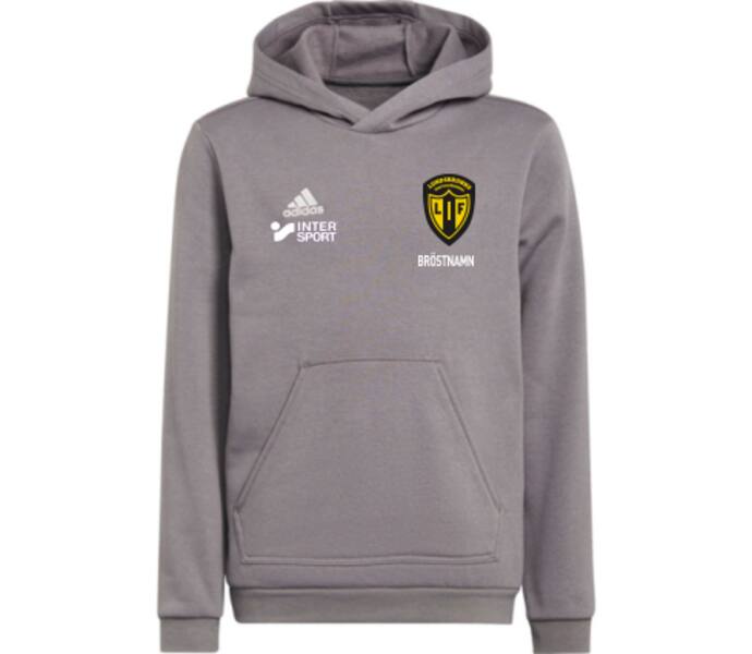 adidas Entrada22 Jr Hoody Grå