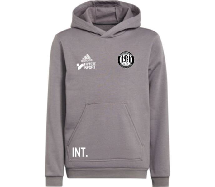 adidas Entrada22 Jr Hoody Grå