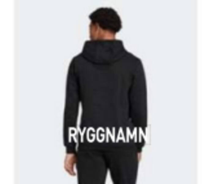 adidas Entrada22 Jr Hoody Svart