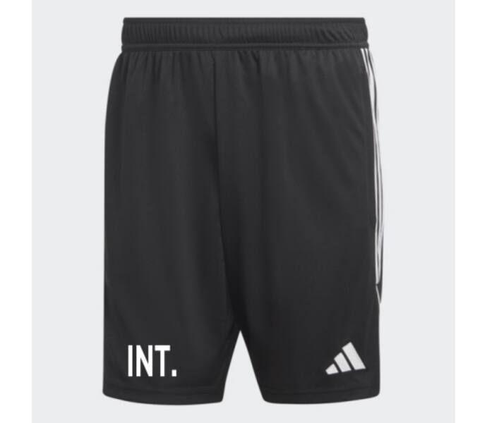 adidas Tiro23 L Tr Shorts Svart