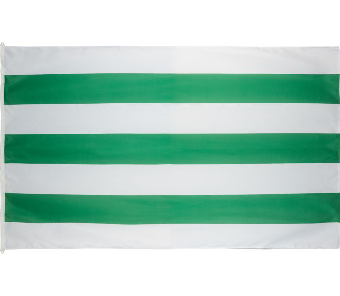Hammarby Flaggstångsflagga 240x150cm Grön