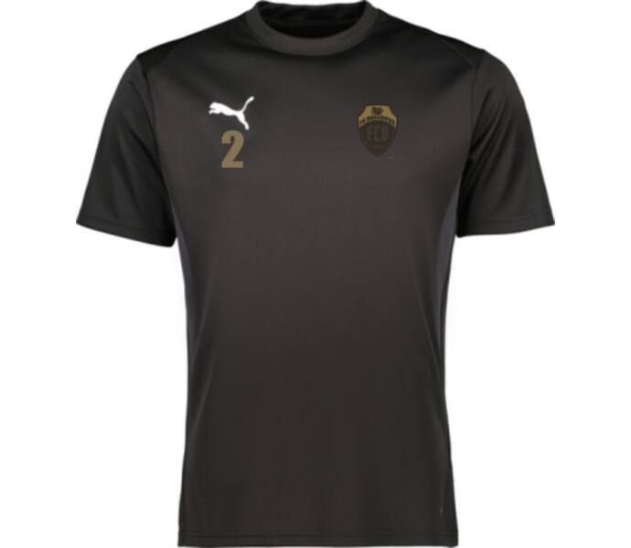 Puma teamGOAL Jersey  Svart