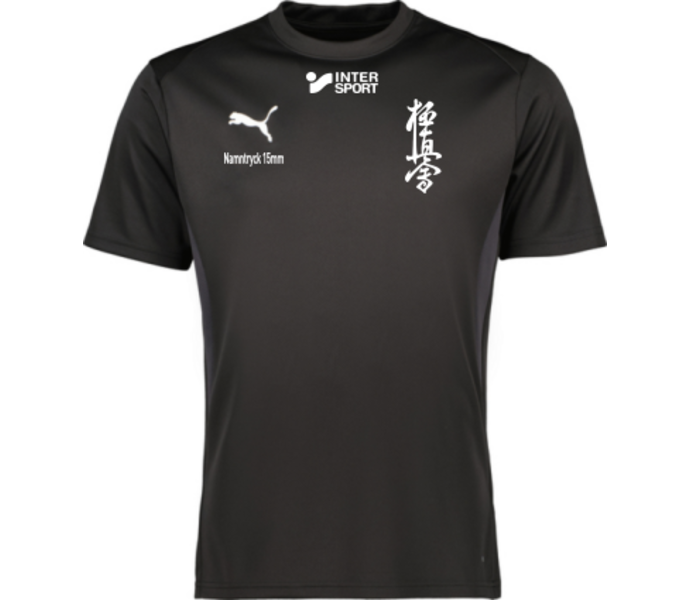 teamGOAL Jersey
