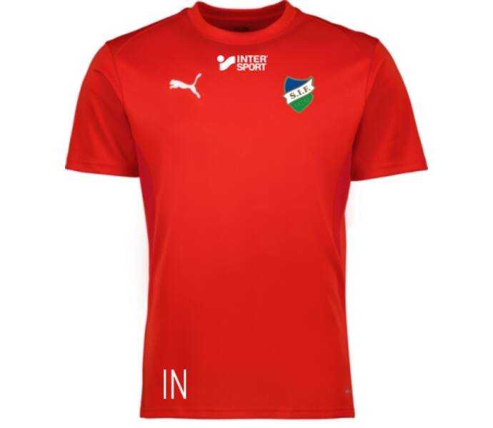 Puma teamGOAL Jersey Jr  Röd