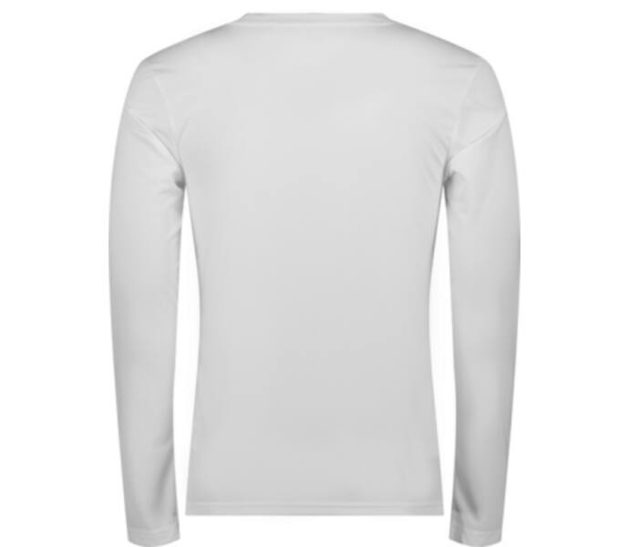 Puma teamGOAL Baselayer Tee LS  Vit