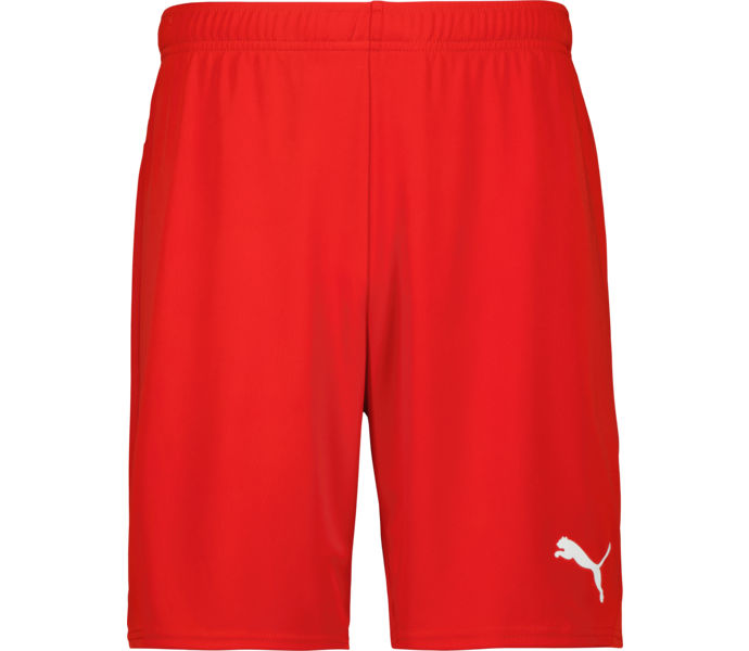 Puma teamGOAL Shorts  Röd