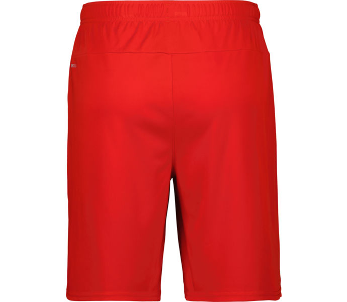 Puma teamGOAL Shorts  Röd