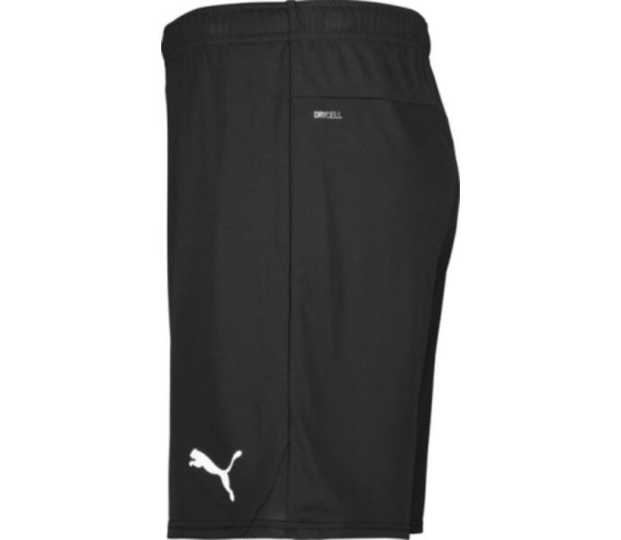 Puma teamGOAL Shorts  Svart