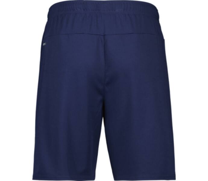Puma teamGOAL Shorts  Blå