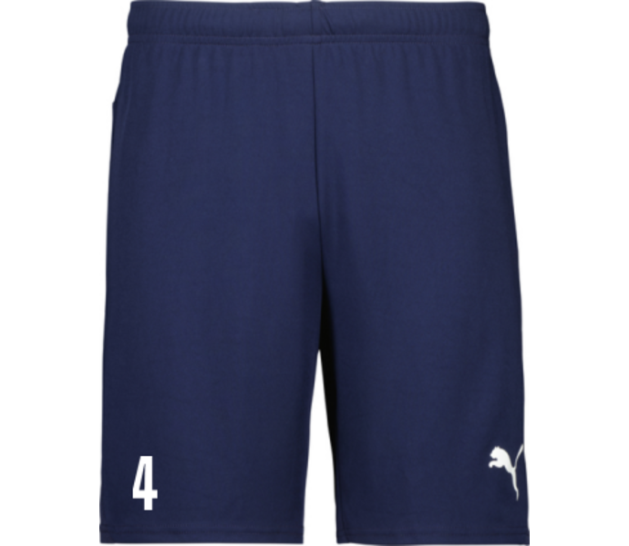 teamGOAL Shorts 
