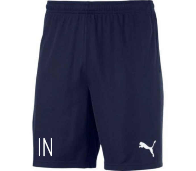 teamGOAL Shorts 