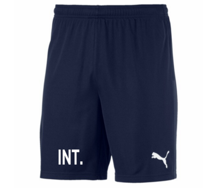 teamGOAL Shorts Jr 