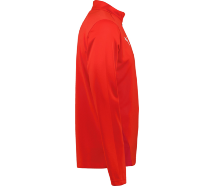 teamGOAL Training 1/4 Zip Träningströja Jr