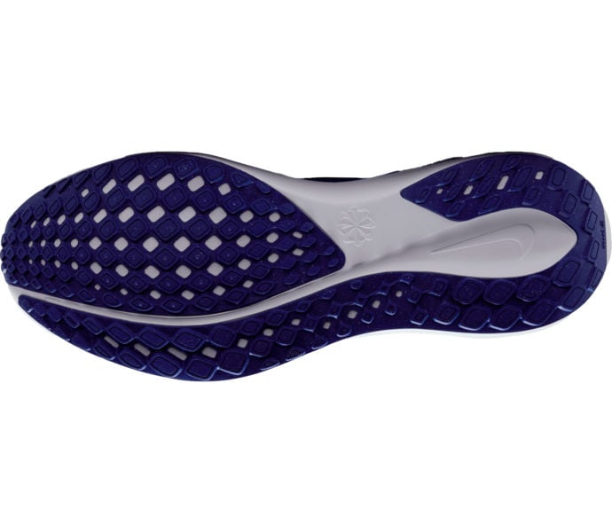 Nike PEGASUS 41 LÖPARSKOR Blå
