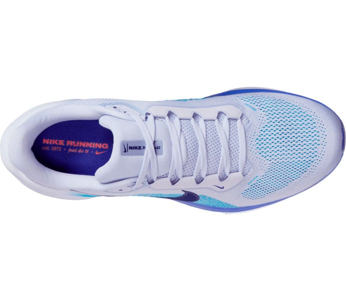 Nike PEGASUS 41 LÖPARSKOR Blå