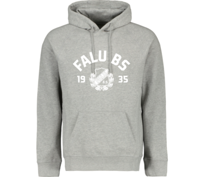 Raglan Jr huvtröja