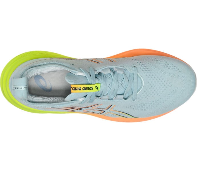 Asics GEL-NIMBUS 26 LÖPARSKOR Flerfärgad
