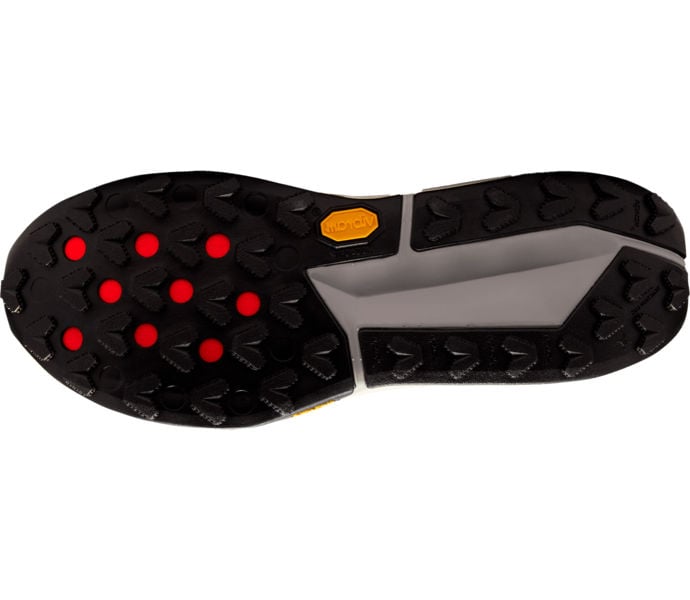 Nike ZEGAMA TRAIL 2 LÖPARSKOR Grön