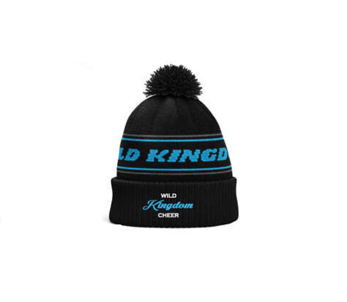 Pom Pom Hat
