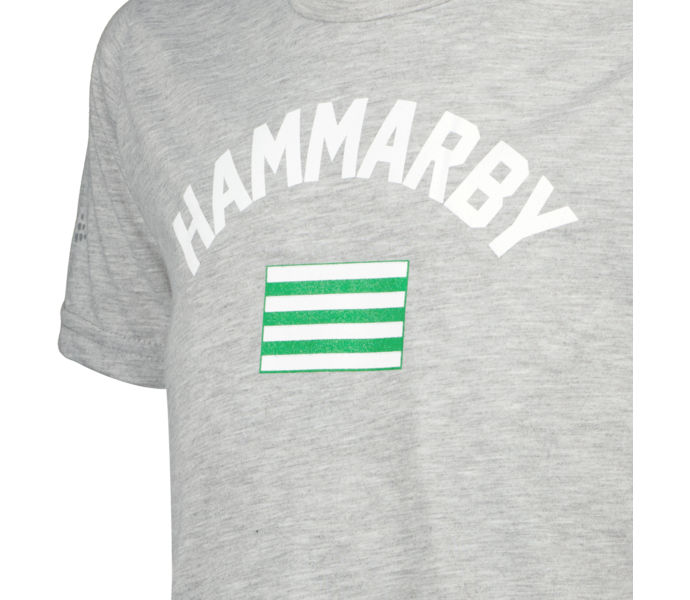 Hammarby FLAG T-SHIRT JR Grå