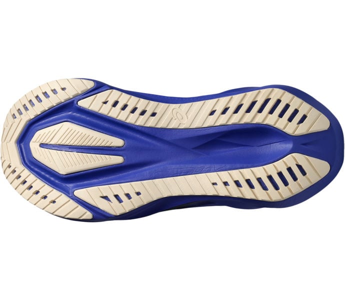 Asics NOVABLAST 5 LÖPARSKOR Blå