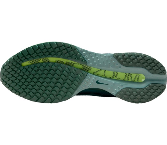 Nike PEGASUS PREMIUM LÖPARSKOR Blå