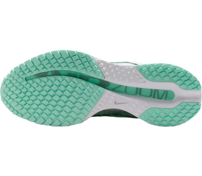 Nike PEGASUS PREMIUM LÖPARSKOR Blå