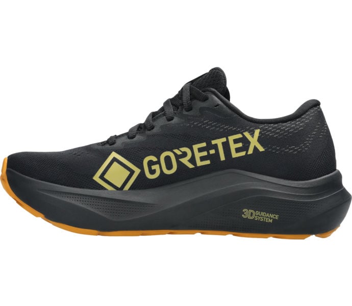 Asics GT-2000 14 GTX LÖPARSKOR Svart