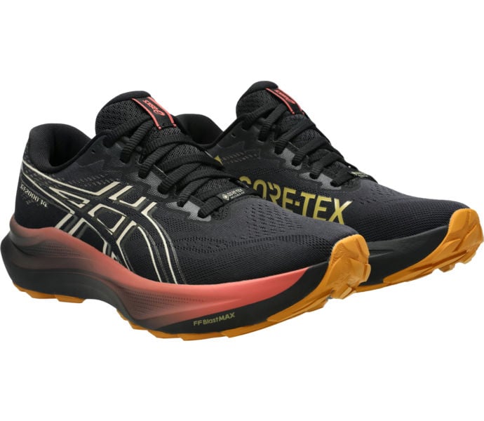 Asics GT-2000 14 GTX LÖPARSKOR Svart