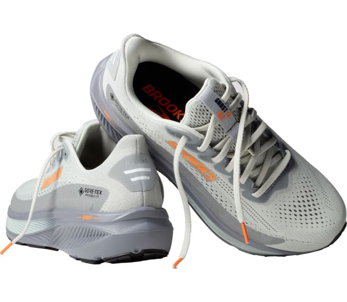 Brooks GHOST 17 GTX LÖPARSSKOR Grå