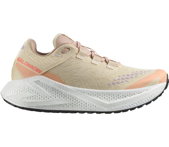 Salomon AERO GLIDE 3 GRVL LÖPARSKOR Beige