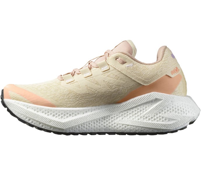 Salomon AERO GLIDE 3 GRVL LÖPARSKOR Beige