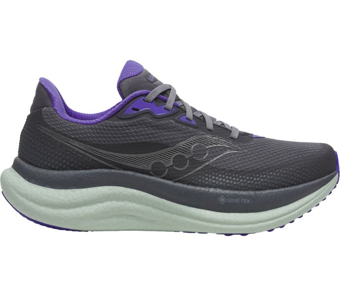 Saucony TRIUMPH 23 GTX LÖPARSKOR Grå