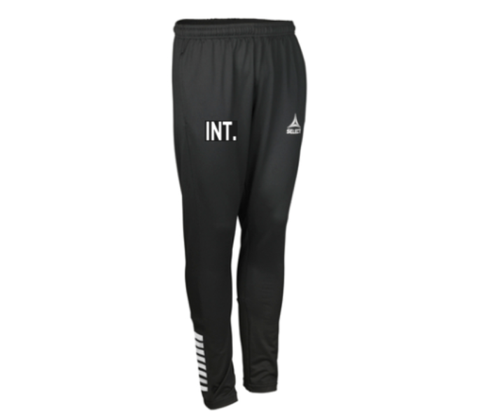 Training pants slim fit Spain v25