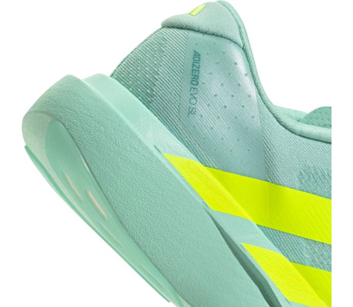 adidas ADIZERO EVO SL LÖPARSKOR Blå