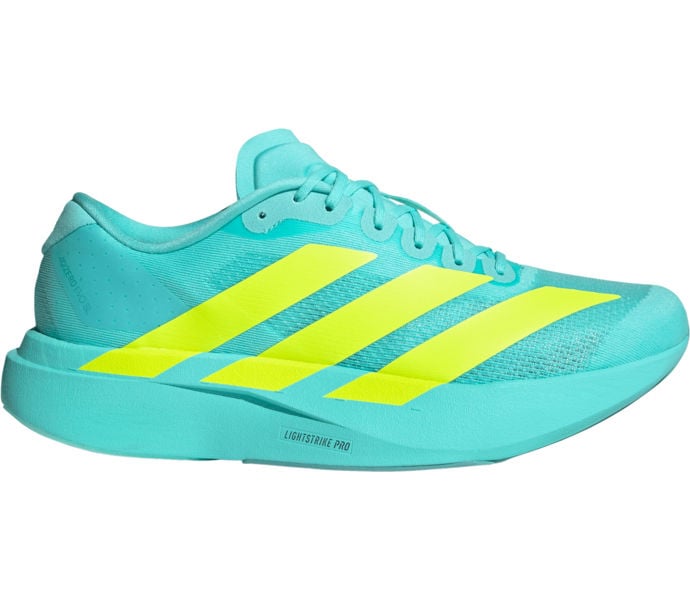 adidas ADIZERO EVO SL LÖPARSKOR Blå