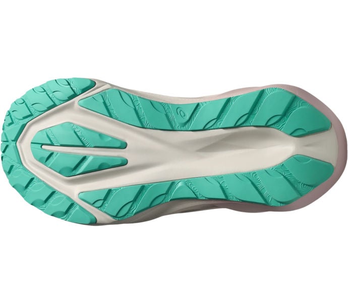 Asics NOVABLAST 5 TR LÖPARSKOR Grå