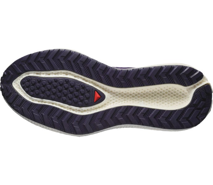 Salomon AERO GLIDE 3 GRVL LÖPARSKOR Blå