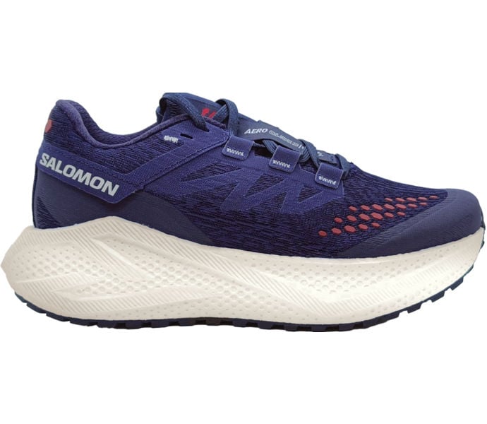 Salomon AERO GLIDE 3 GRVL LÖPARSKOR Blå