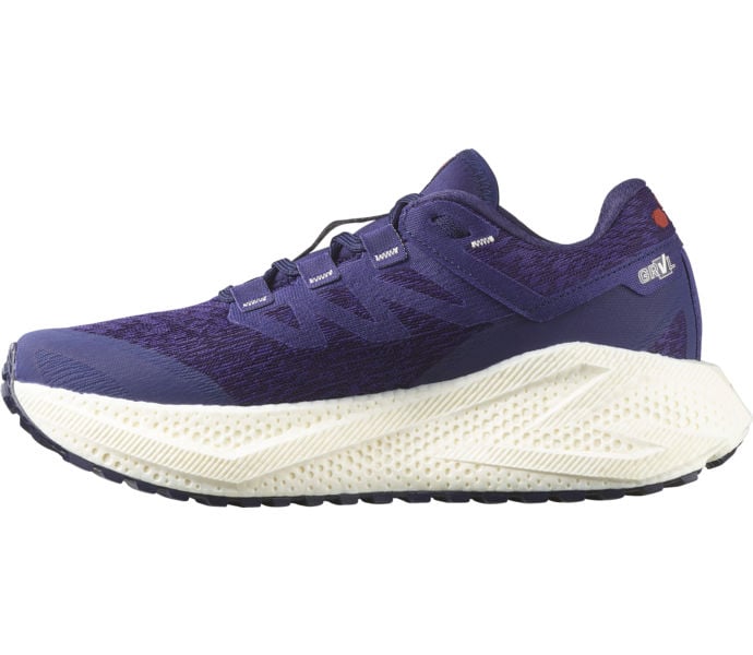Salomon AERO GLIDE 3 GRVL LÖPARSKOR Blå