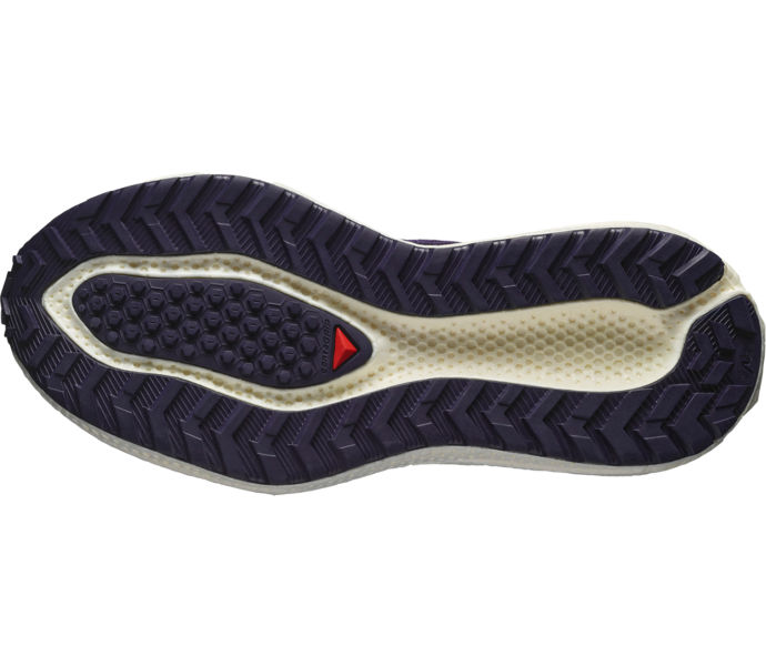 Salomon AERO GLIDE 3 GRVL LÖPARSKOR Blå