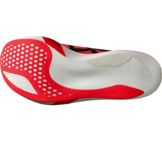 Asics METASPEED SKY TOKYO KOLFIBERSKOR Röd