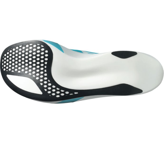 Asics METASPEED RAY KOLFIBERSKOR Blå